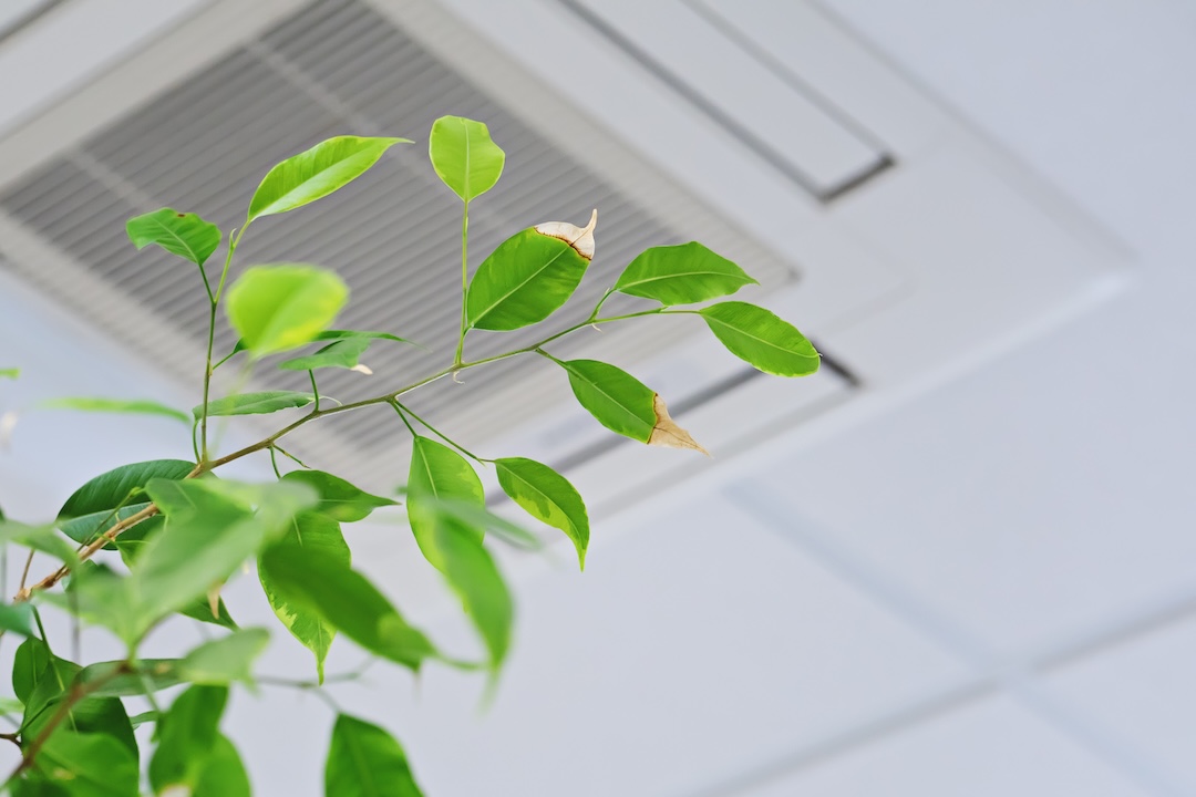 Breathe Easier With Better Indoor Air Quality